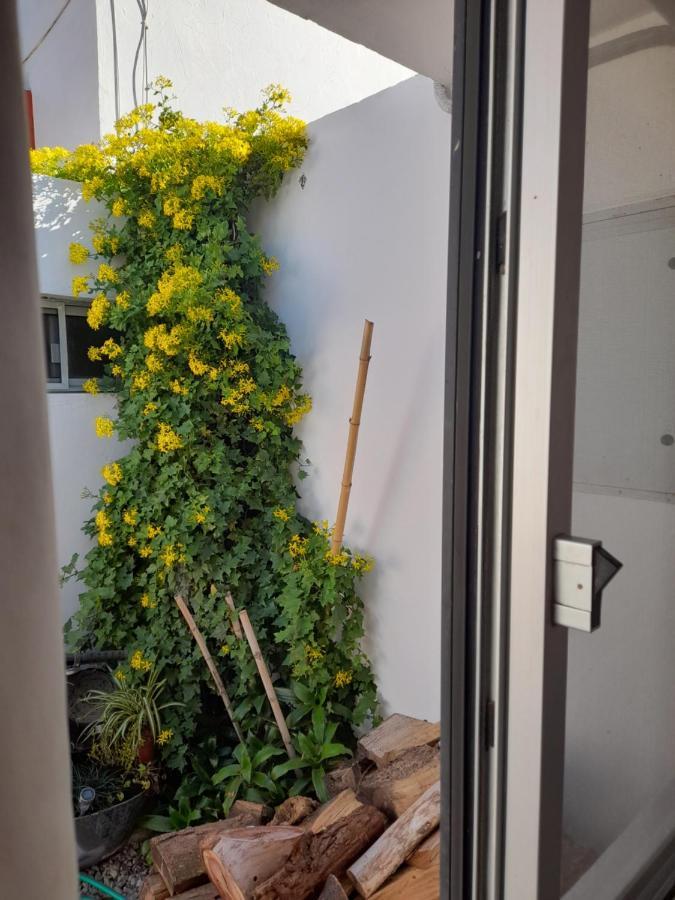 科洛尼亚-德尔萨克拉门托 Posada Mela酒店 外观 照片
